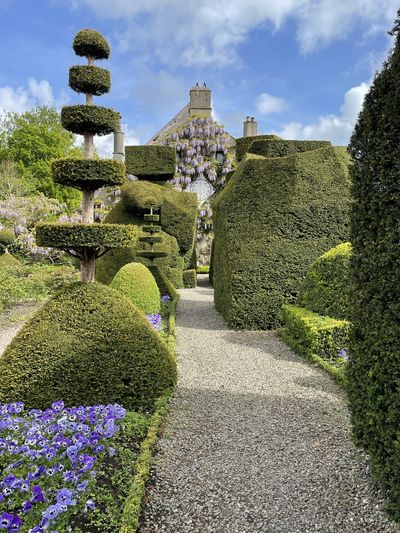 Path in the world's oldest topiary garden, at Levens Hall and Gardens, Cumbria, leading to Beaumont's Cottage