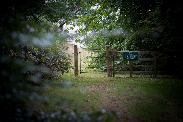 Woodland Walk On The Estate 1.jpg