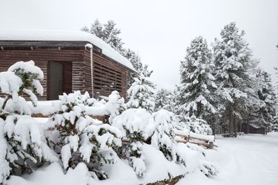 OdlesLodge-Nature-Winter-©Odles Lodge_Konstantin Volkmar (24).jpg