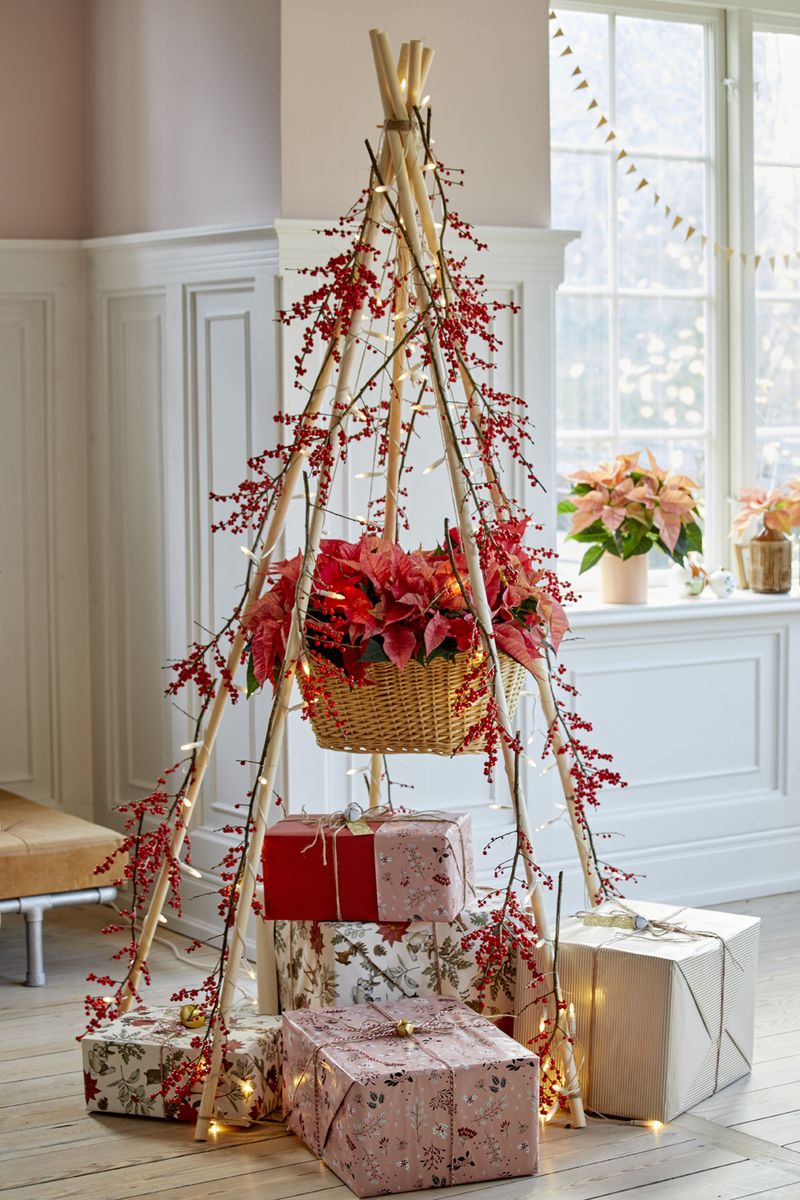 2022_poinsettia_04000_Christmas_Fairy_Tale_08.jpg