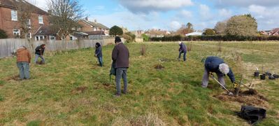 Crowborough Community Orchard 5.jpg