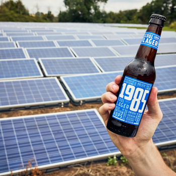 solar panels.jpeg