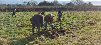 Crowborough Community Orchard 3.jpg