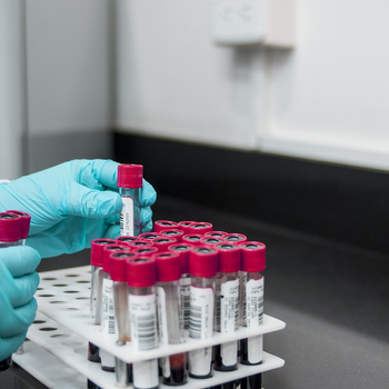 lab-3498584_1280.jpg