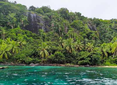 Reclaim Yourself Retreats in Madagascar jungle.jpg