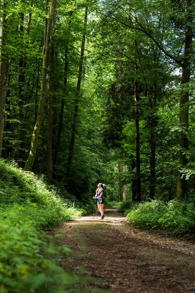 Lee-Trail-Day-3-JDJ21-©Jochem-de-Jong.jpg