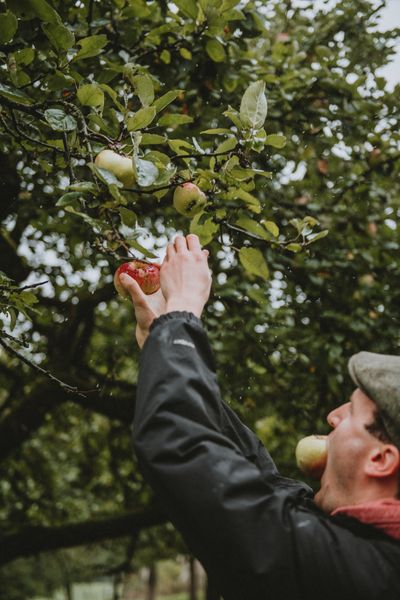Ramborn_2019Harvest_34©LFT_VéroniqueKolber.jpg