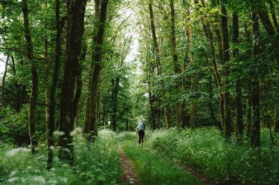 Lee-Trail-Day-1-JDJ18-©Jochem-de-Jong.jpg