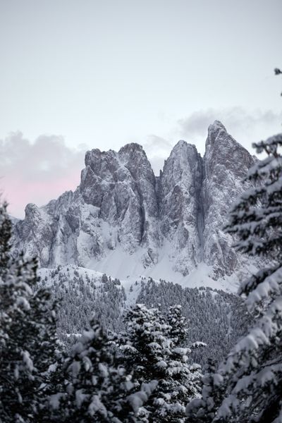 OdlesLodge-Nature-Winter-©Odles Lodge_Konstantin Volkmar (10).jpg