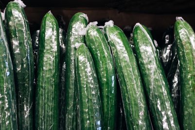 AdobeStock_317229541.jpeg