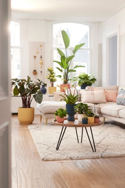 Vibes round collection