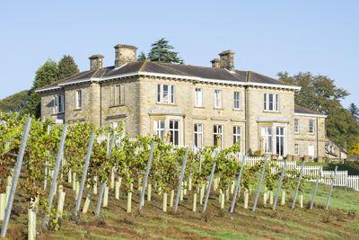 Vineyard-Leonardslee-House.jpg