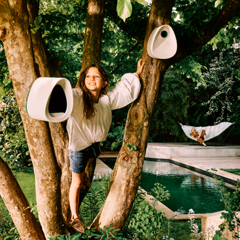 B's essential feeder and bird box