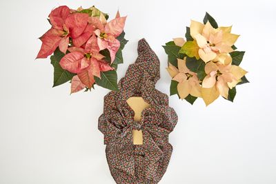 2022_poinsettia_05130_DIY_Reusable_Japanese_Gift_Wrap_03.jpg