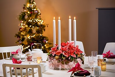 2022_poinsettia_06110_DIY_Fluffy_Flokati_Advent_Wreath_04.jpg