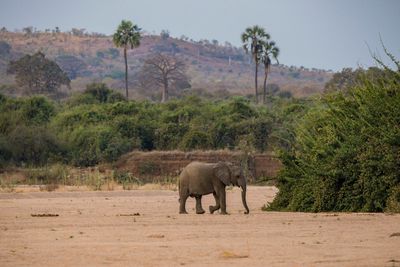 Asilia Africa (50).jpg