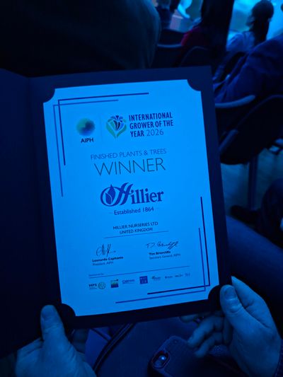 Hillier Garden Centres and Nurseries - Finished Plants & Trees Winner