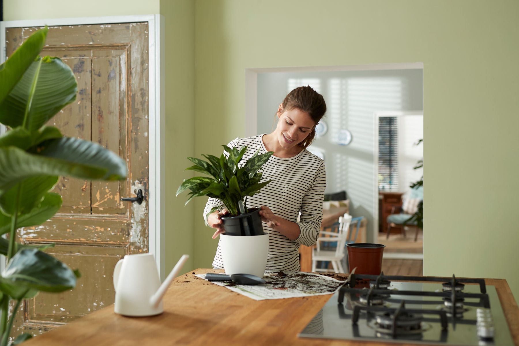 self-watering insert