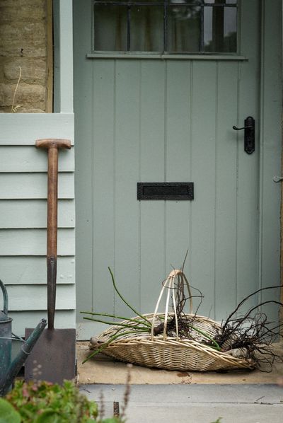 David Austin Roses champions slow living with the bare root rose revival  