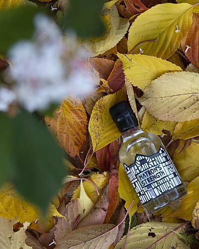 Matron's Strength - alternative autumn angle