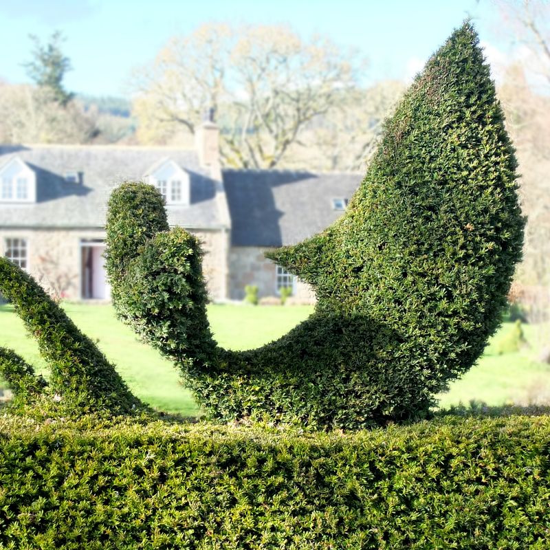 David Hawson - Winner of the Home Gardener category