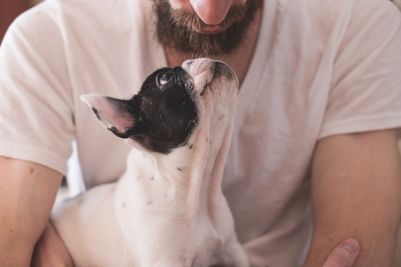 Pet owner (stock image).jpg