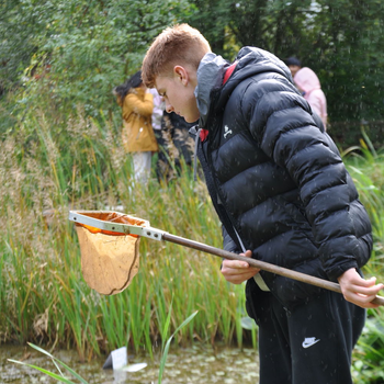 (Pic 4) Pond dipping and the identification of freshwater species is still a key skill which learners are taught when they visit Field Studies Council sites. .jpg