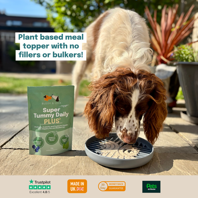 Buddy & Lola Super Tummy Daily Plus - Pre, Pro & Postbiotics for dogs