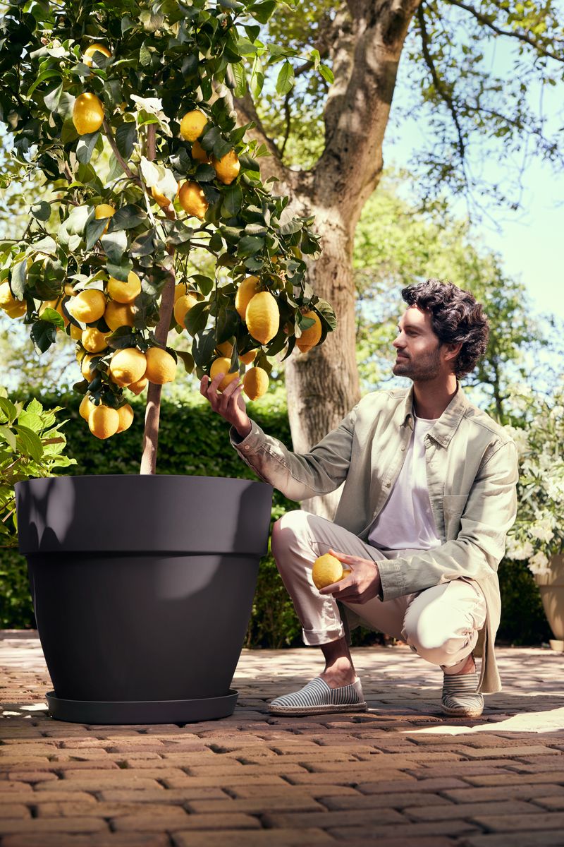 vibia XXL 65cm pot - anthracite
