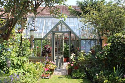 Alitex’s Guide to Summer Greenhouse Growing