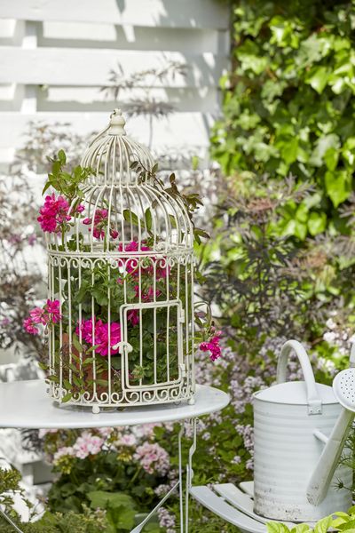 2022_Geraniums_7000_Romantic_Garden_Corners_06.jpg