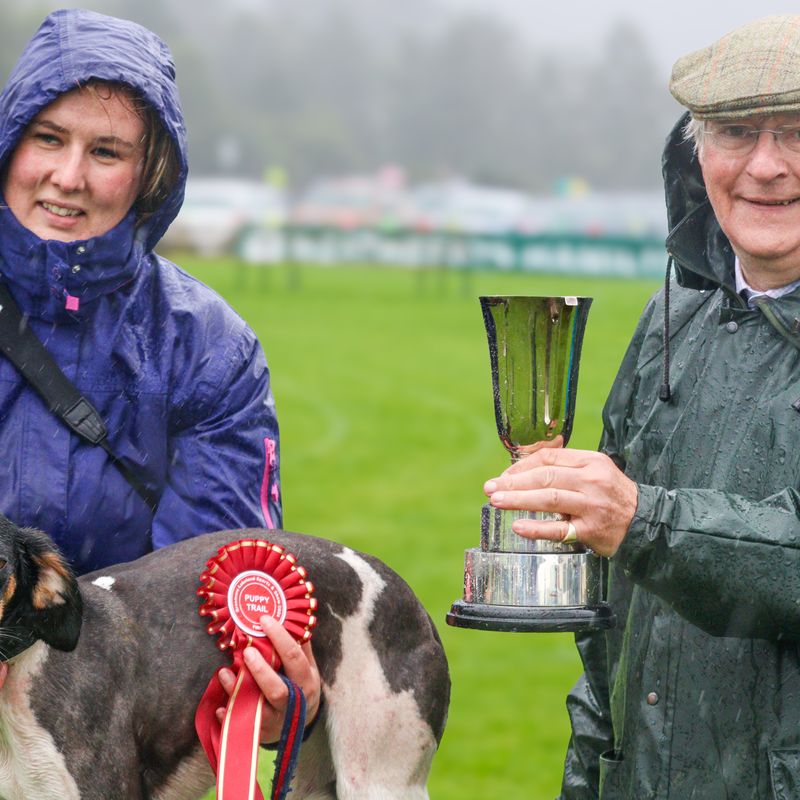 Puppy Trail winner in the 2024 Grasmere Sports hound trailing event, Huntsman's Time, 