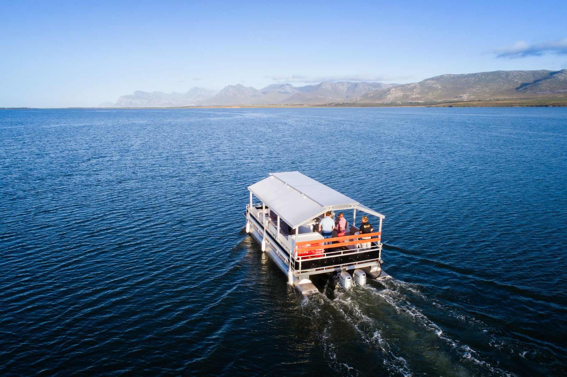 Whale-Watching-Benguela-Cove-Walker-Bay-Wine.jpg
