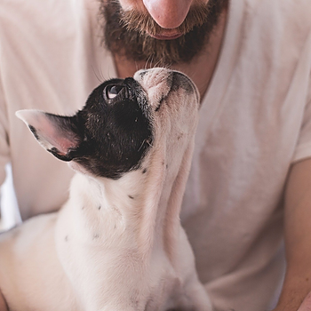 Pet owner (stock image).jpg