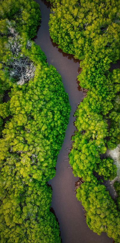 River from above.jpg