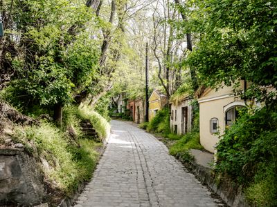 Wine cellars, Stammersdorf