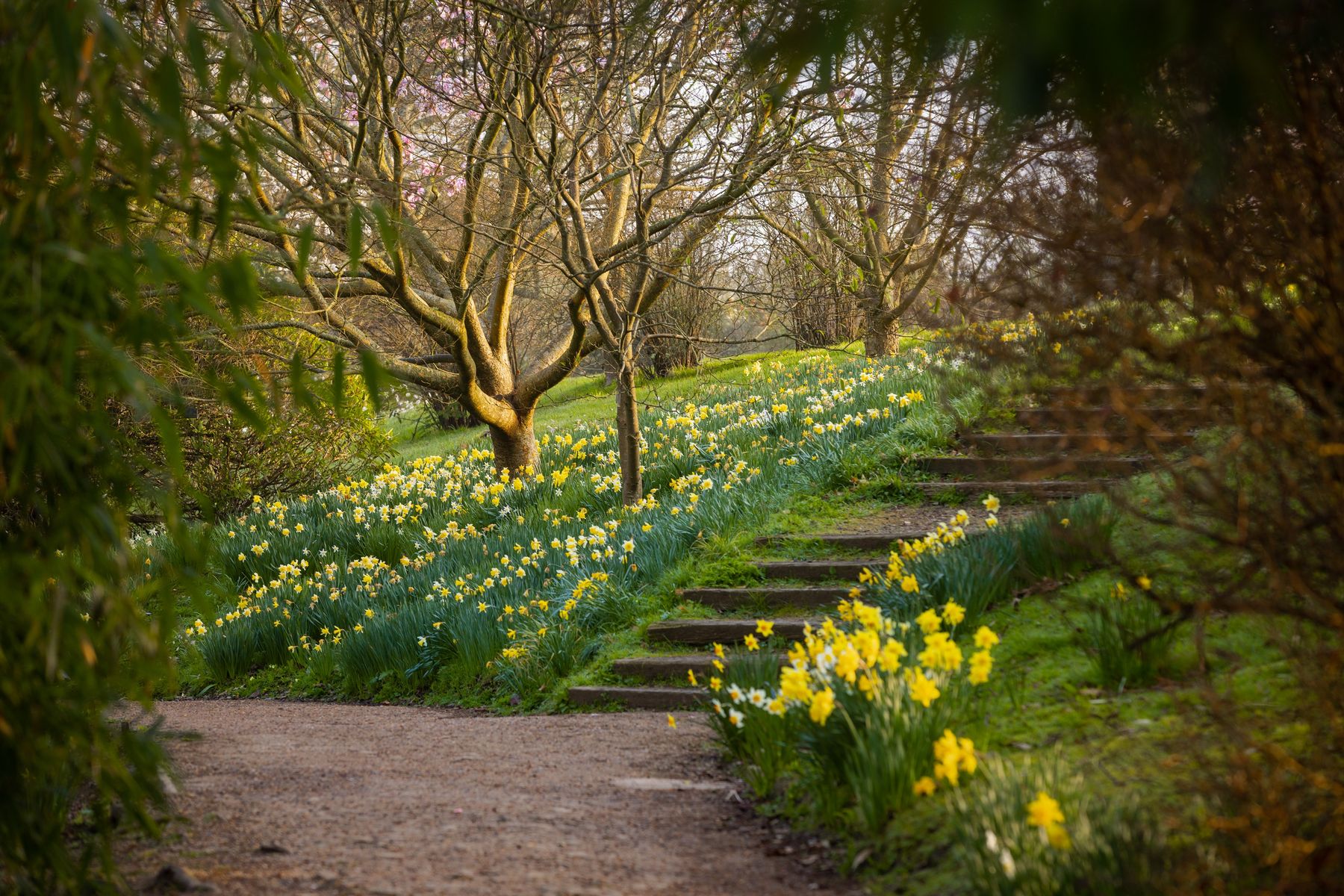 Westwood Valley at Wakehurst, West Sussex