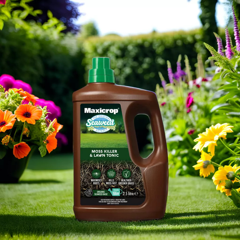 Moss Killer and Lawn Tonic