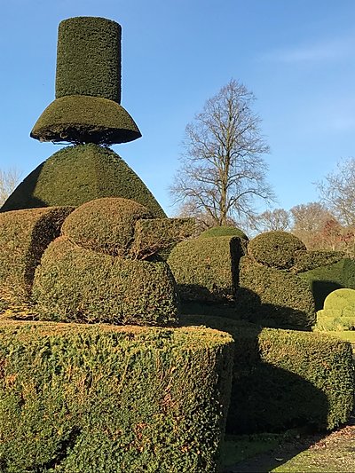 Topiary at Levens Hall, Cumbria, UK