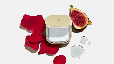 Fig Skin Perfector - Shine Control Blurring Powder