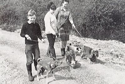 ARCHIVE IMAGE - 1968 Dog Walking - Margaret Green Animal Rescue.jpg