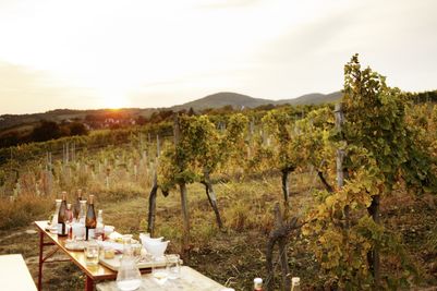 Wieninger vineyard, Nussberg