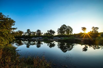 KanhaSinginawa3 Wild Central India.jpg