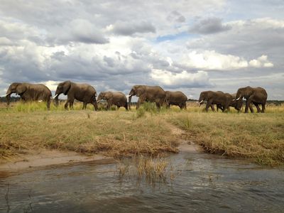 Credit Dillon Groves [Unsplash] - Okavango Delta, Botswana.jpg
