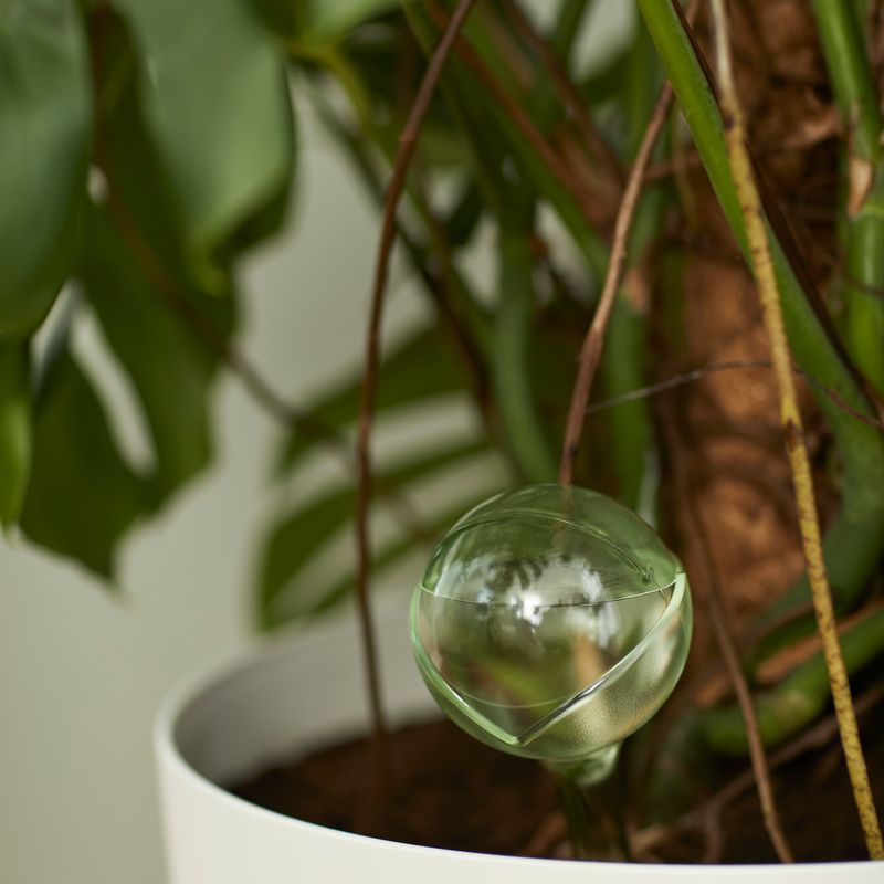 aqua care 9cm transparent