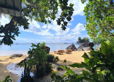 Reclaim Yourself Retreats in Madagascar on the beach.jpg