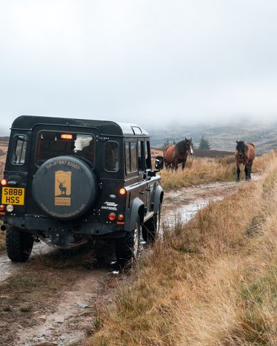 Highland Safari Dun Aluinn 3.jpg