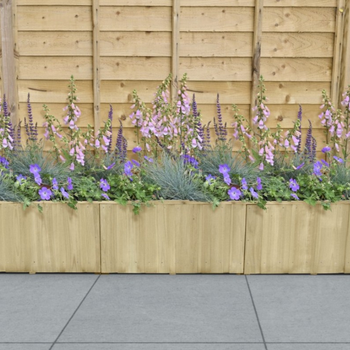 Suggested Header Forest, Low Level Lapline Planter 670mm x 1794mm, £150.99, 8594237.jpg