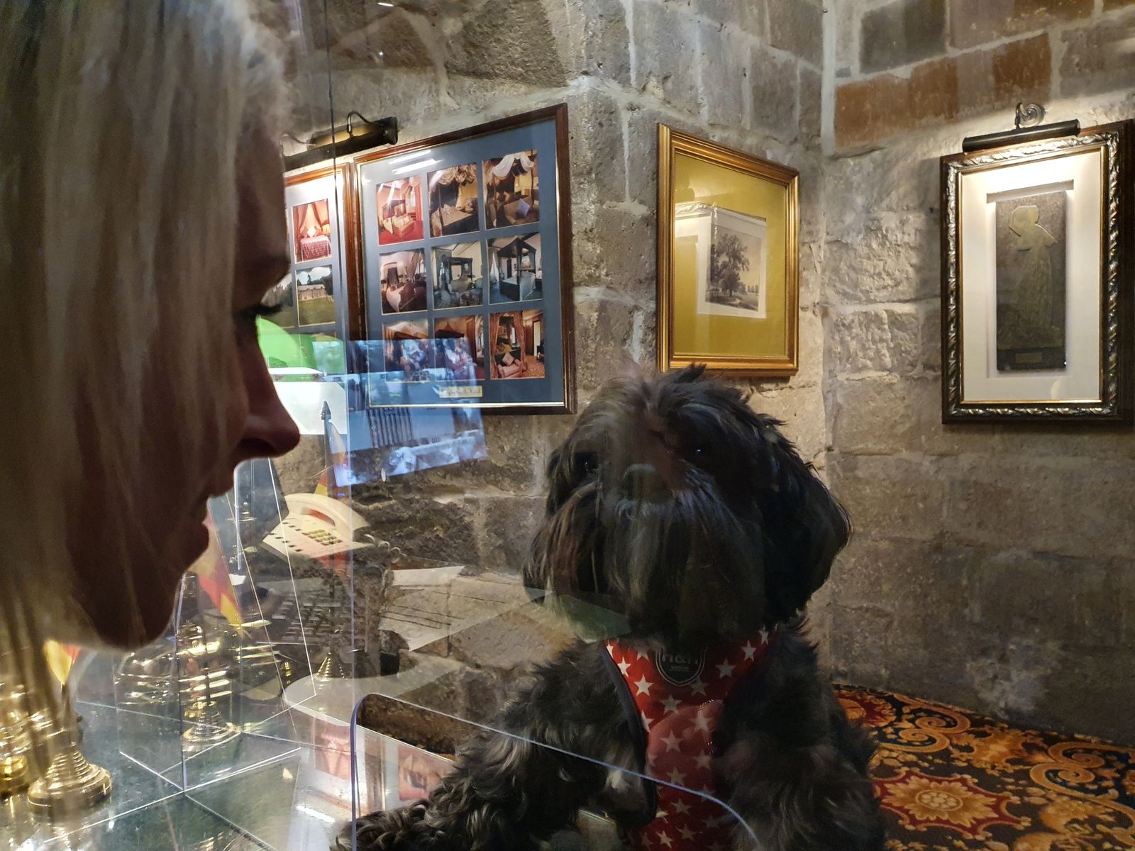 Doggy guest 'George' checks into Langley Castle Hotel, Northumberland