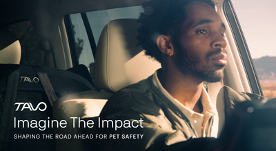 'Imagine the Impact' campaign by Tavo that looks at Pet Safety in Carsd